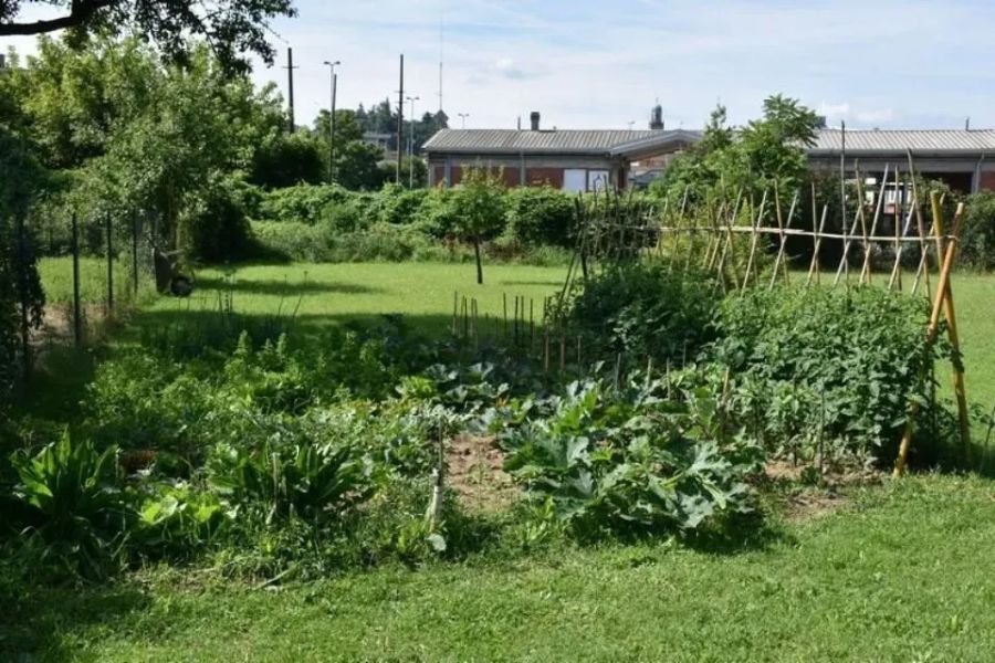 Giardino con orto